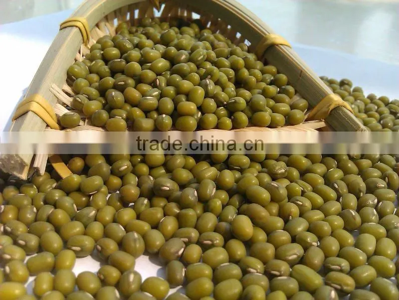 green mung bean/mung bean