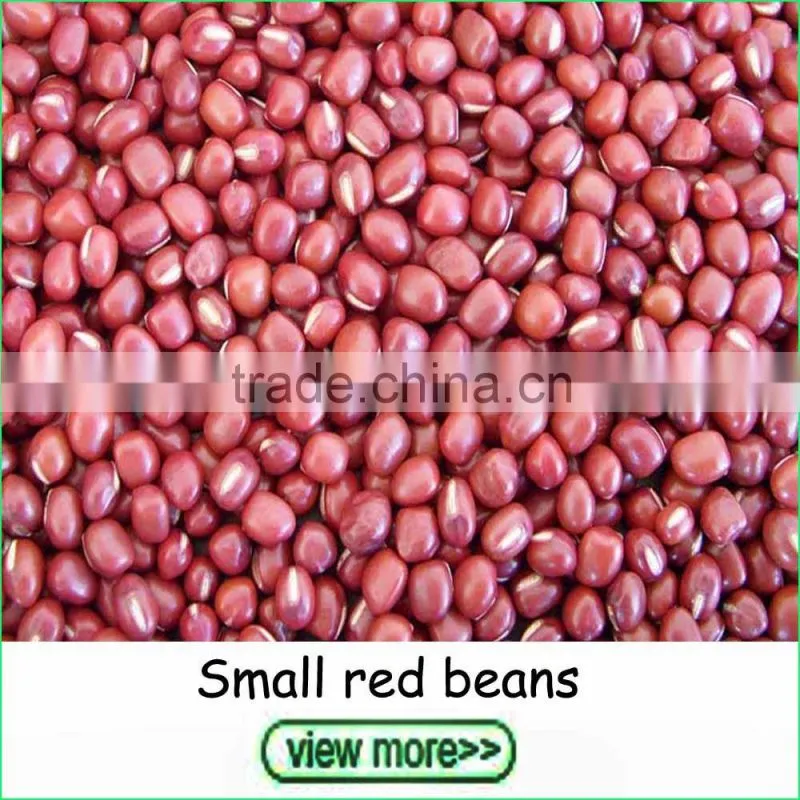 2016 Crop small size white kidney beans navy beans