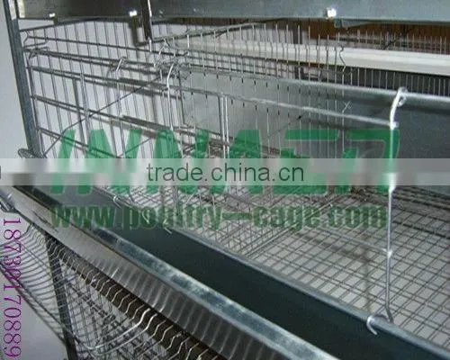 Supply Hot Sale Cheap Innaer Cock Cage for Broiler