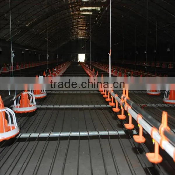 Automatic poultry feeder and drinker for chicken broiler
