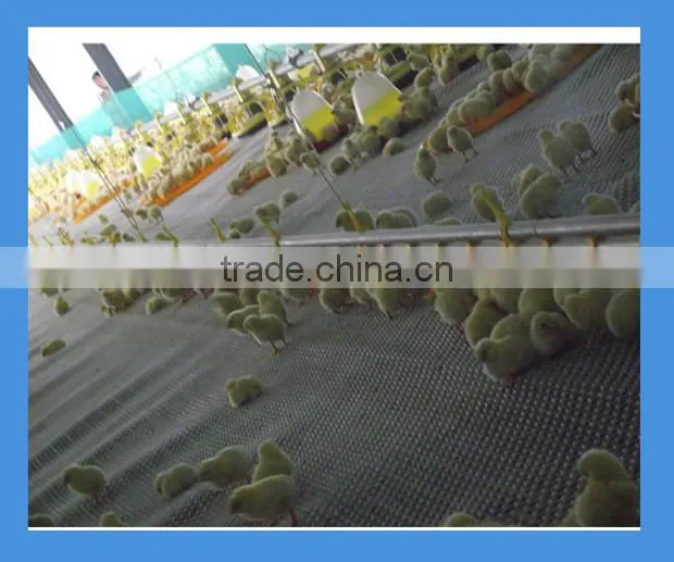 cheap poultry farm automatic drinking system for chicken