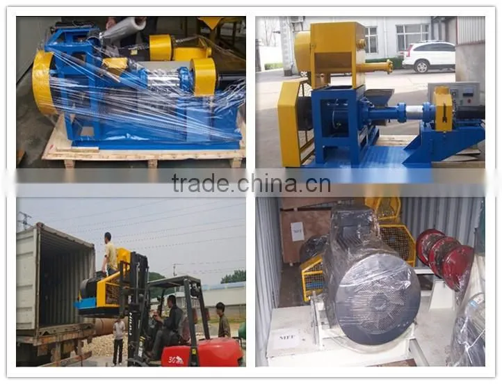 China top quality factory price tropical fish bottom feeders