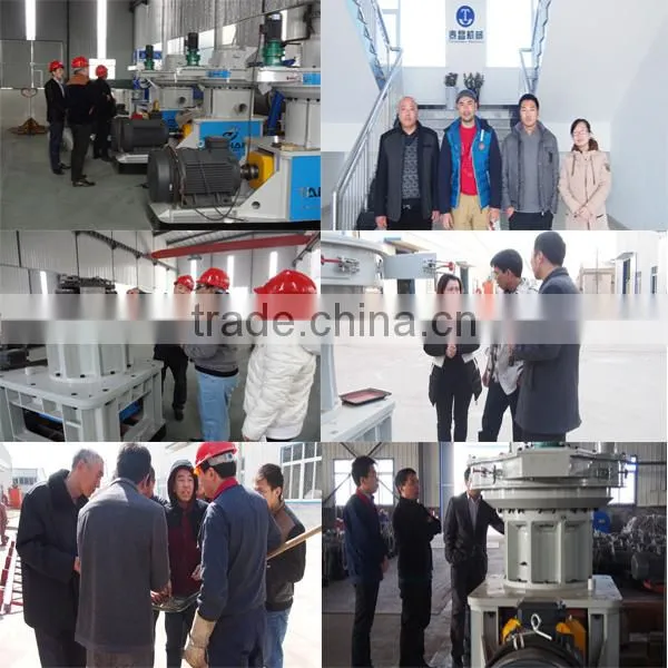 Sinking fish feed poultry feed pellet machinery