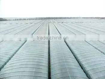 black and transparent agriculture film
