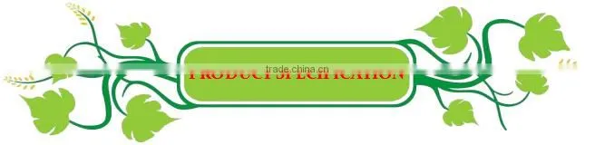 B665 Varnish Sprayed Treatment Agricultural Tools&Garden Tools Iron Ball Peen Hammer