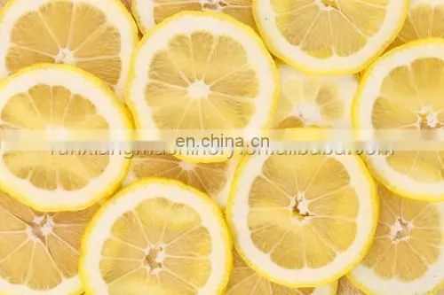 Manual Cabbage Slicer Vegetable Slicer Onion Cutter Cutting Machine