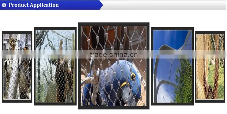 ISO Manufactory provide fast delivery time stainless steel mesh aviary mesh