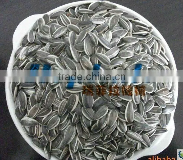 All kinds feeds Fry machine