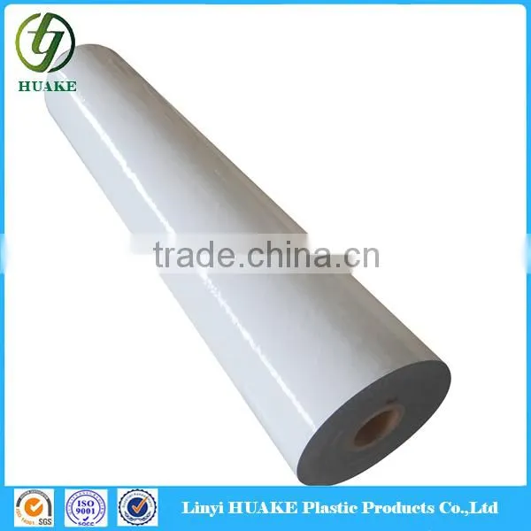 Hot Sale High Temperature Resistance Protective Film