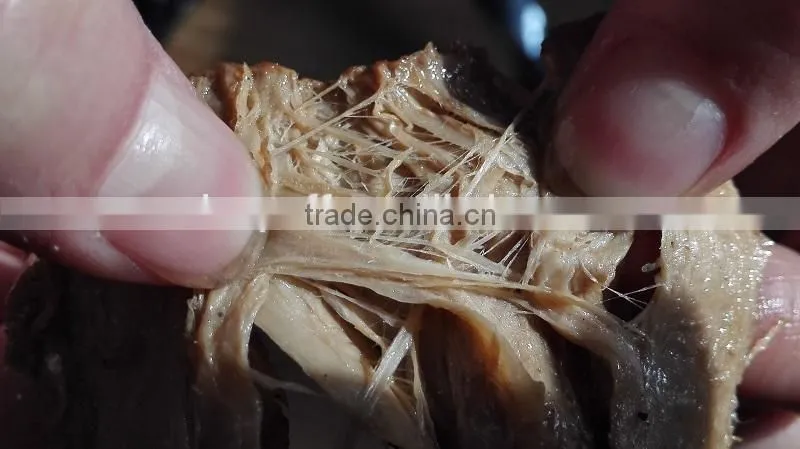 New Technology Textured Soya Protein Machine/Twin-screw Extruder/Production Line