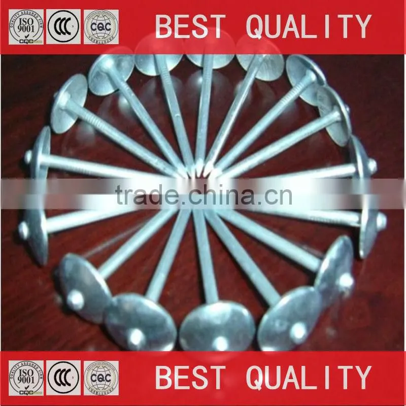 BWG8 iron roofing nail with umbrella head