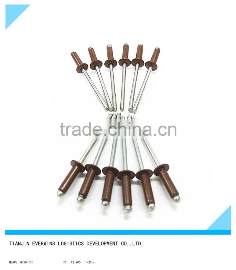 Brown color Rivet