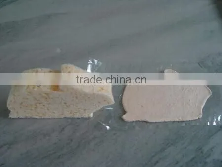 PVA Sponge
