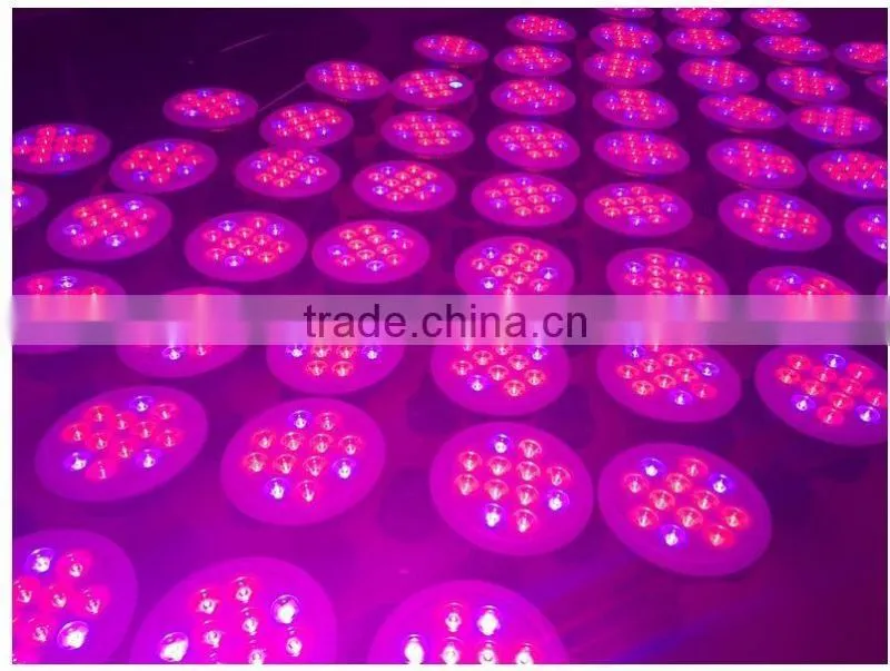 Wholesale Full Spectrum 36W Plant Led Grow Lamp