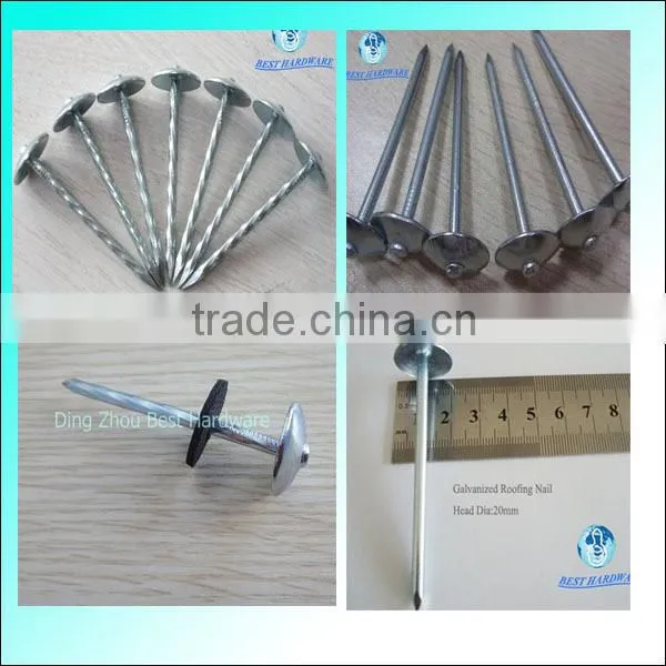 flat roofing nail type