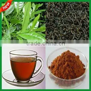Sell: Instant Black Tea Powder