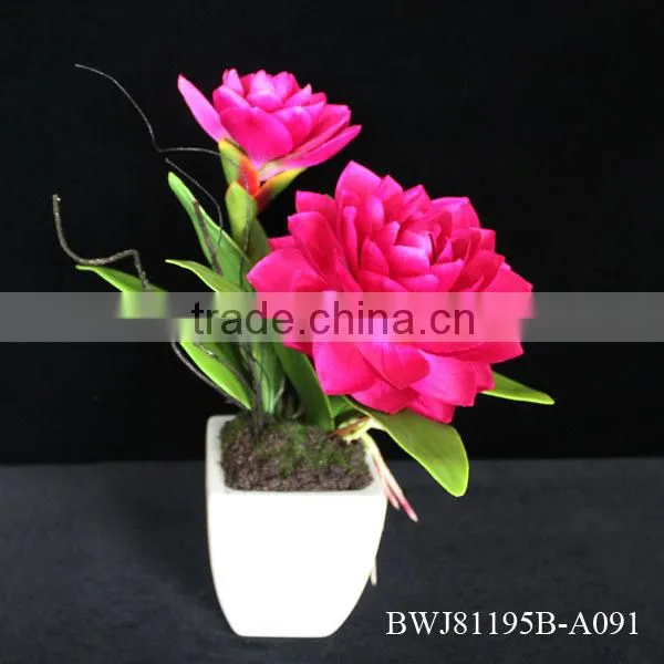 High Quality Artificial Tropical Plant Long singel Steam
