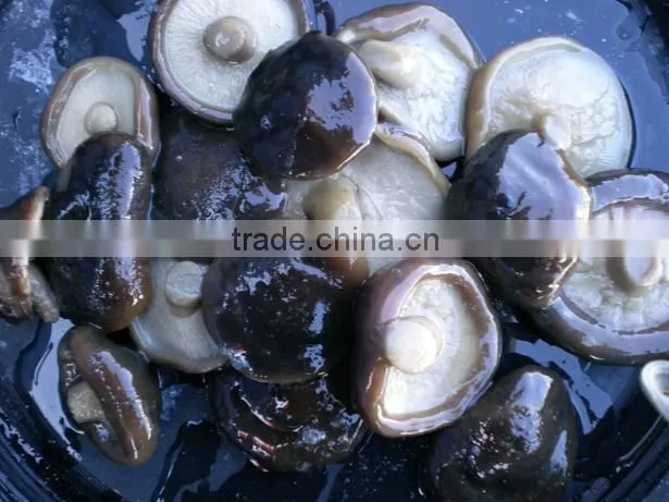 brined Shiitake / Lentinus edodes