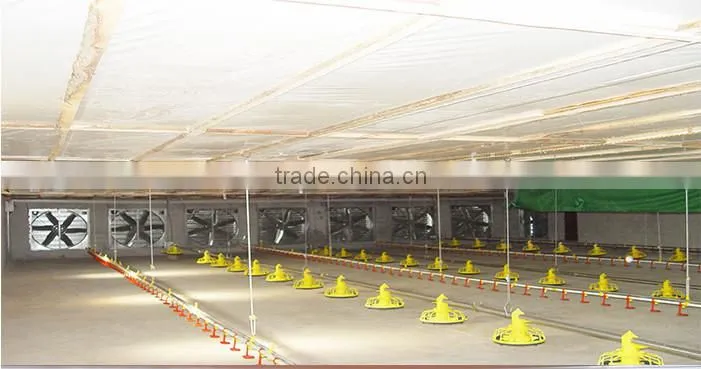 Automatic Poultry Feeding System/Auger Feed System For Poultry