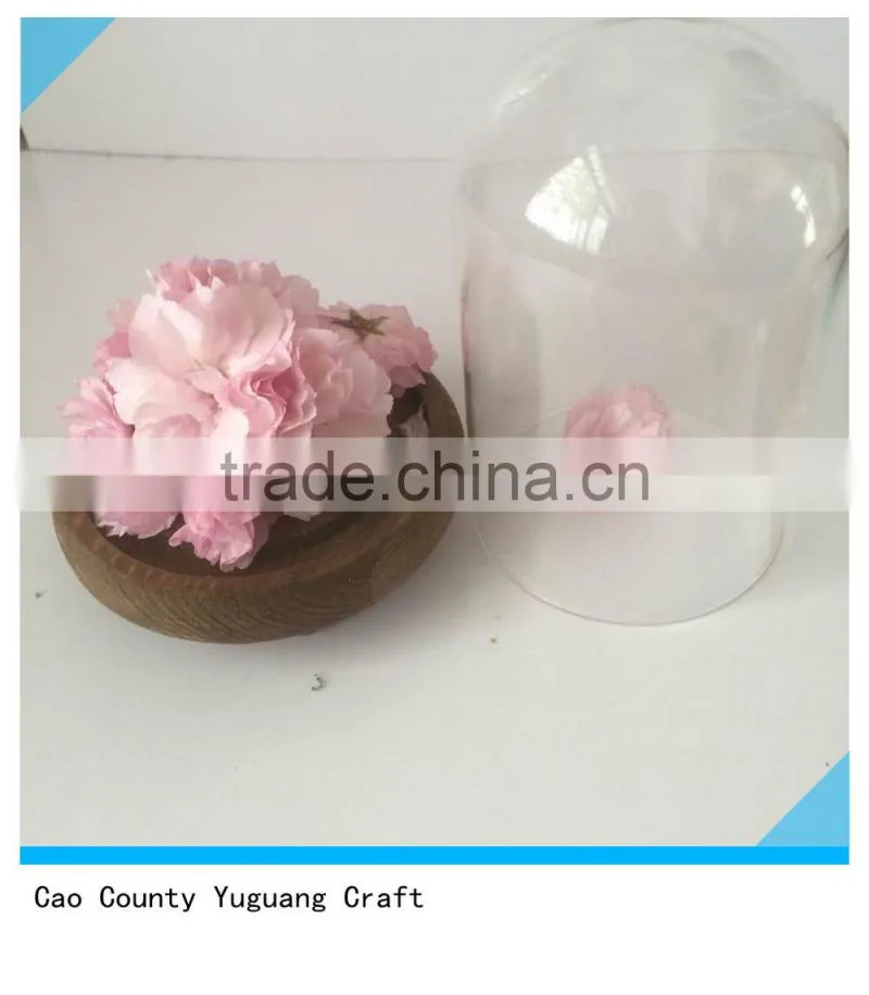 antique Wooden view flower plate with glass bell jars