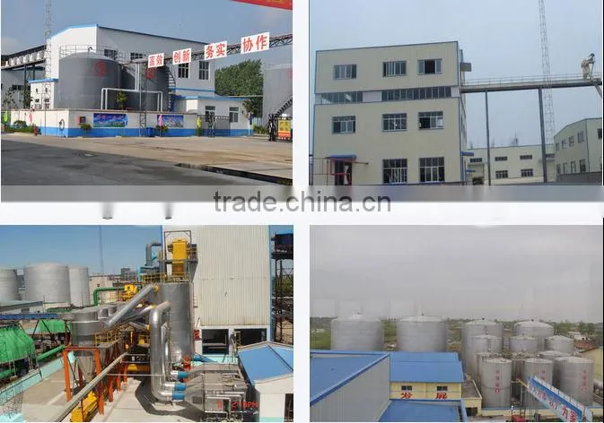High quality automatic Refining maize germ oil line with factory price