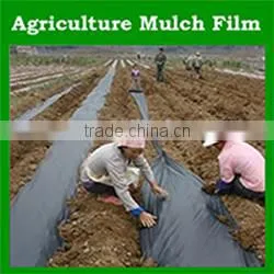 30%-90% shade factor agricultural plastic dark green shade net