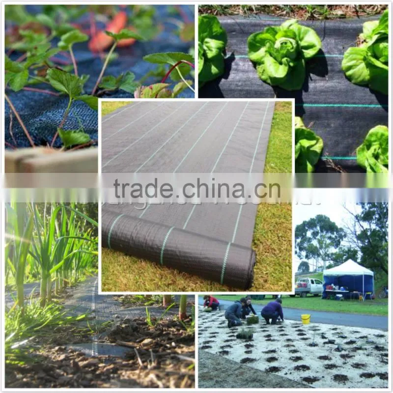 garden weed barrier