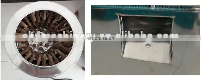 Removing feathers from chickens, ducks and geese Chicken defeathering machine