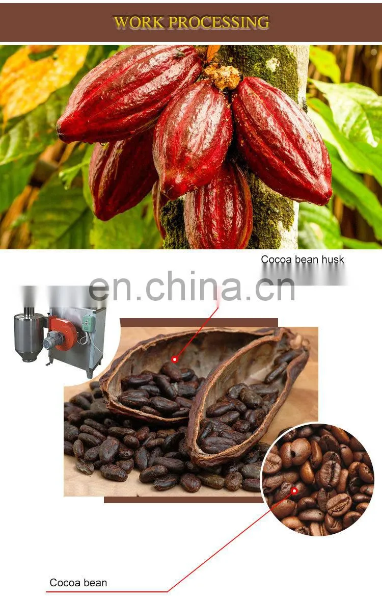 stainless steel roasted cacao cocoa beans peeling shell shelling machine