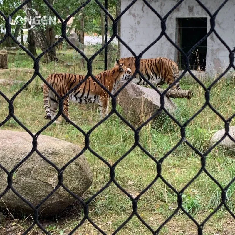 Tiger Fencing