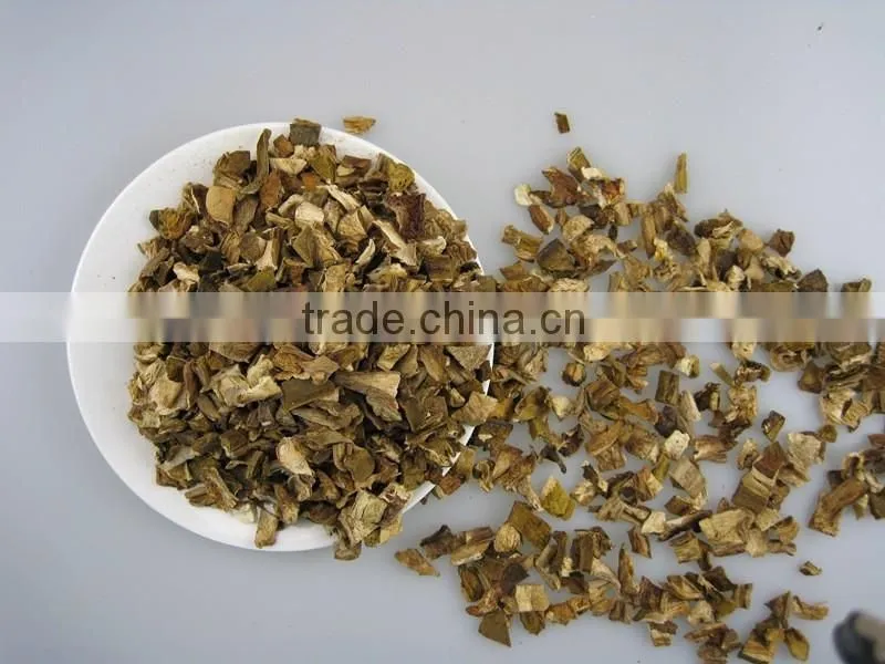 Fibrin Dried White FUNGUS MUSHROOM 2016