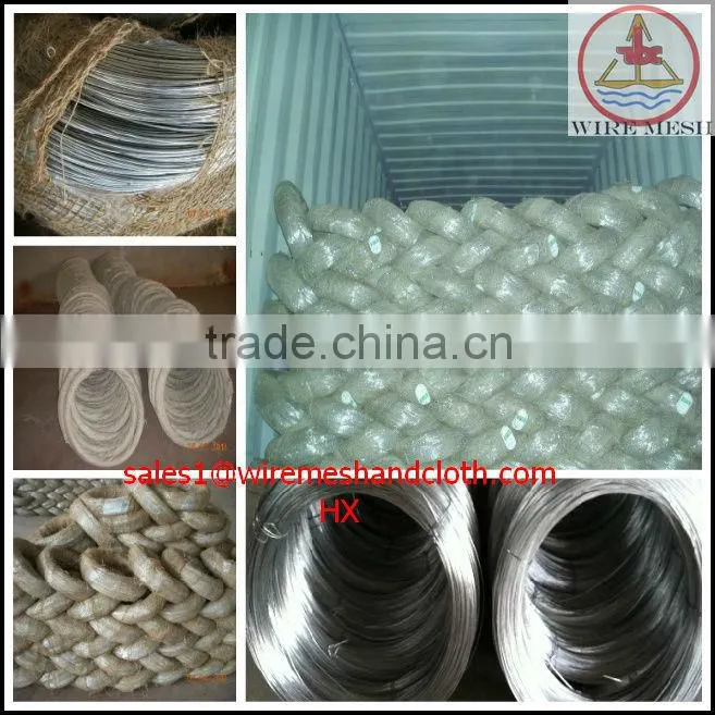 BWG22 8KG Electro galvanized iron wire galvanized wire