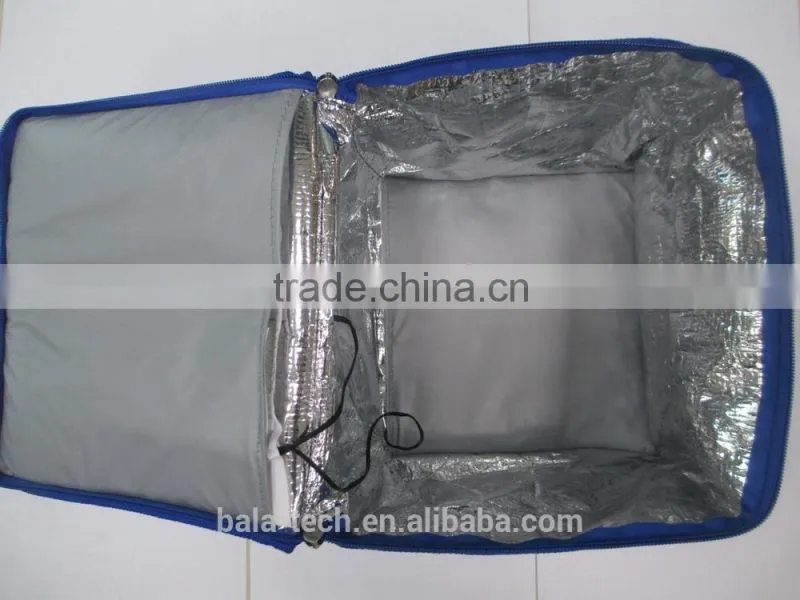 12V lunch box warmer