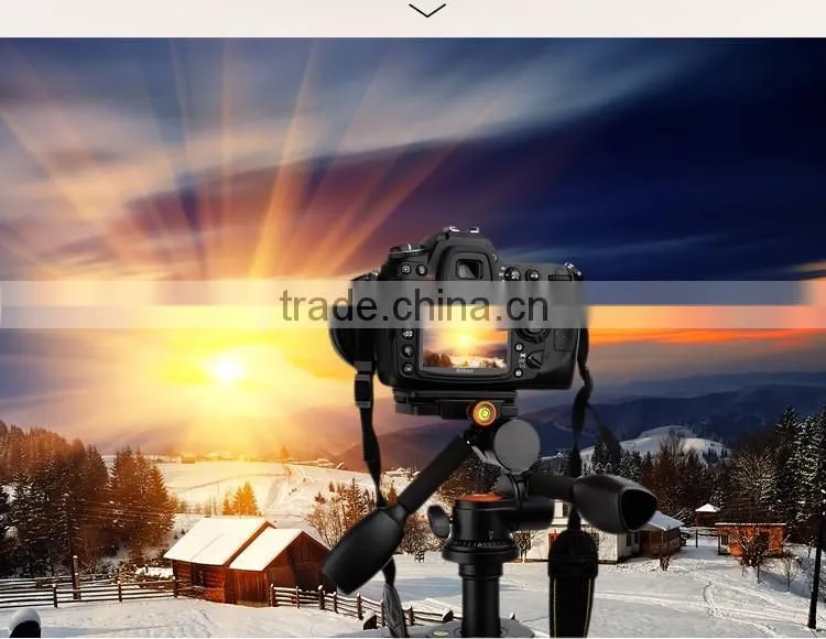Fluid Pan Head 360 degree Panoramic Head For Camera Tripod