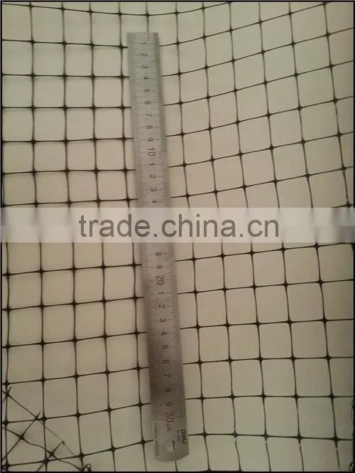 Anti-aphid Netting used in agriculture