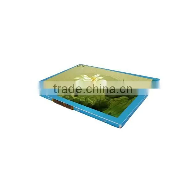 OLED type 40PIN/B2B TFT color panel, 8.0inch LCD display for family smart machina