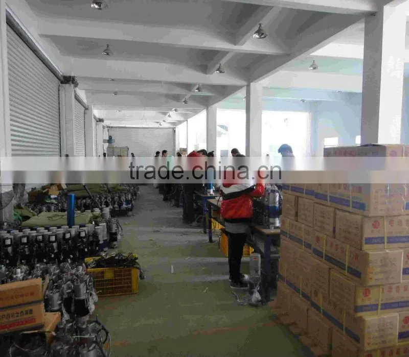 DC24V 500KG 12v brushless dc motor