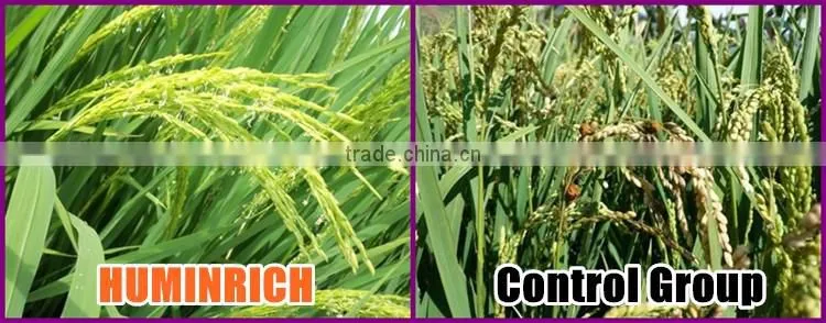Huminrich Shenyang SH9002-5 Insoluble Humic Acid Granular Form For Rice