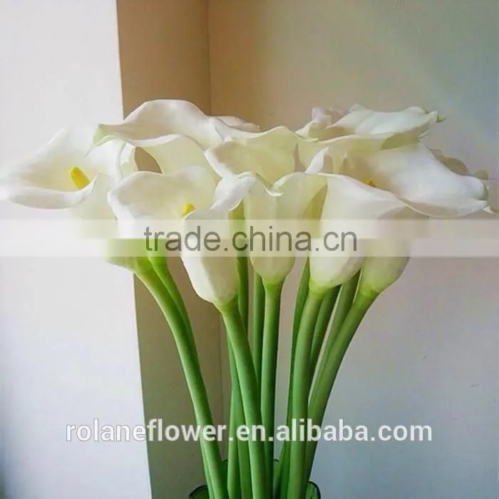 2016 lastest arriving cut white calla lily flower for selling