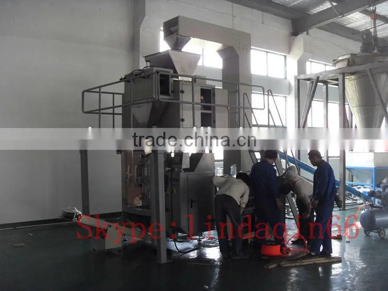 Fully Automatic multihead weigher packing machine