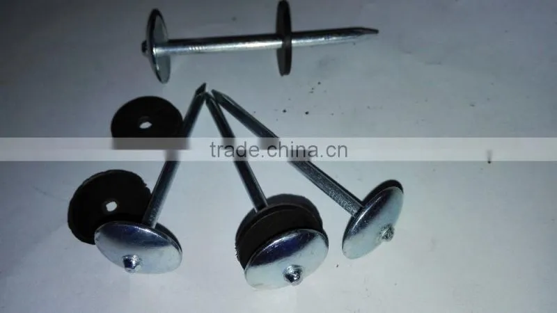 Galvanized Roofing NAILS ( 2 -1/2" x 9mm ) with plastic washer Boa sorte Trade ssurance sinolink