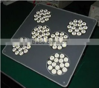 Outdoor Explosion-proof Petrol Station Explosion Proof Light