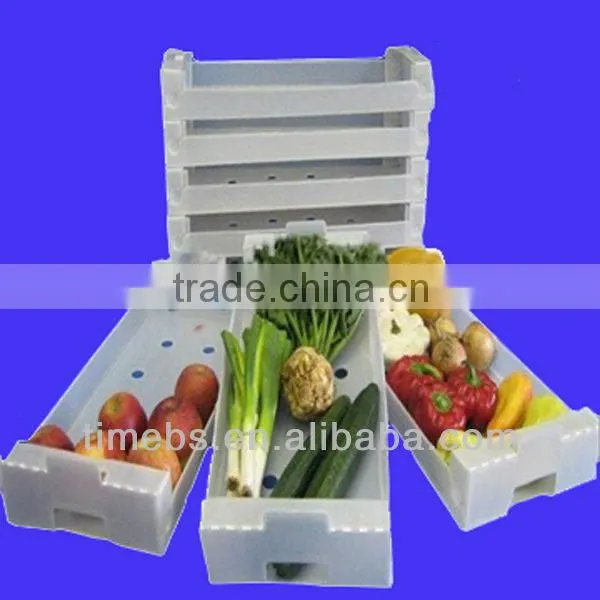 Corflute vegetable boxes