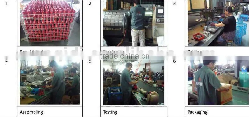 Gasoline Water Pump WB10CX(1E40F-5D)