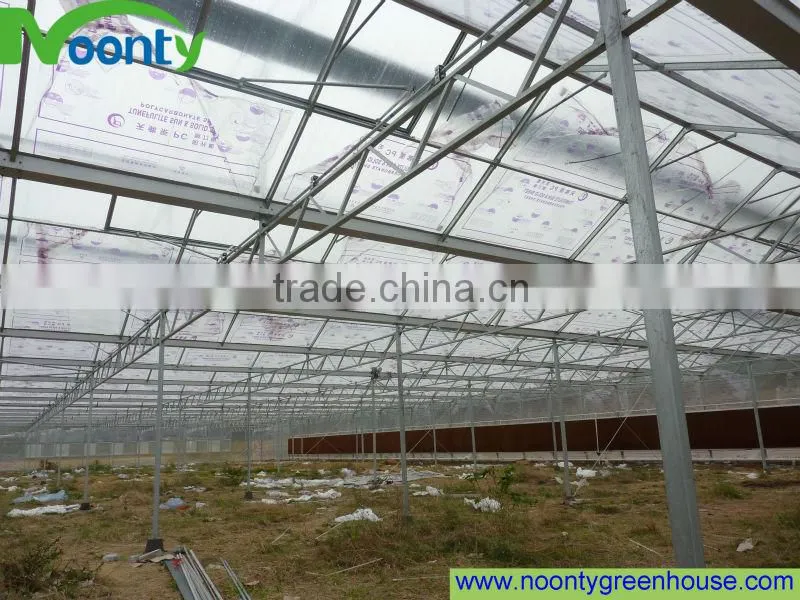 Multi span Greenhouse