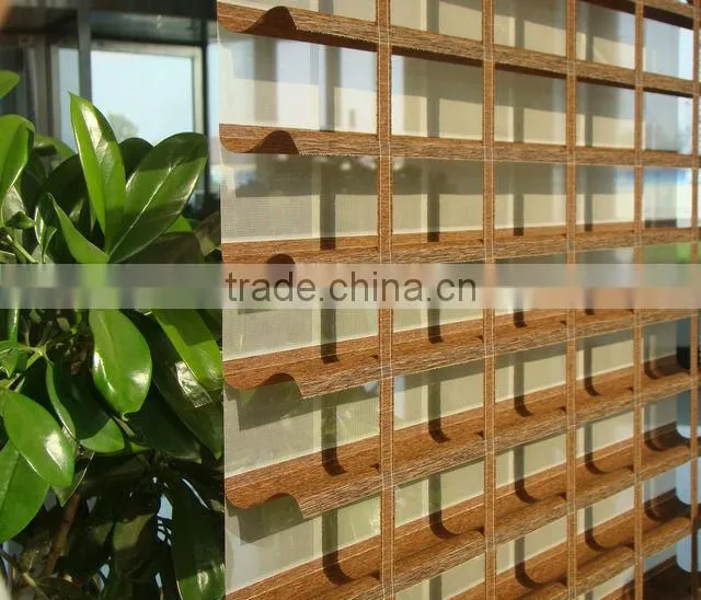 Line verman roller blinds
