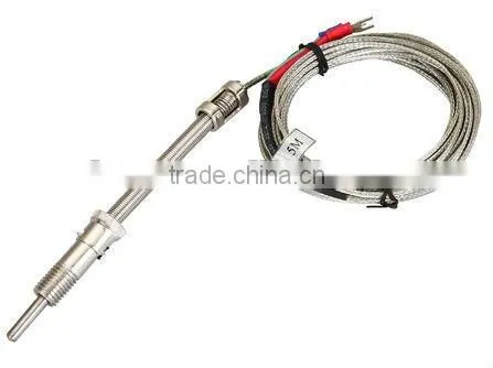 Flexible sensor