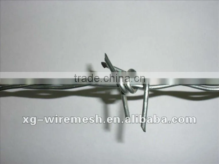 bared razor wire(high quality low price)