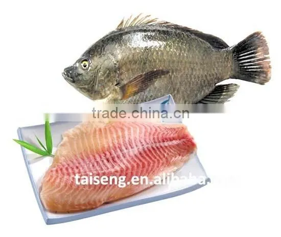 Frozen Fillets of Freshwater Fish Tilapia