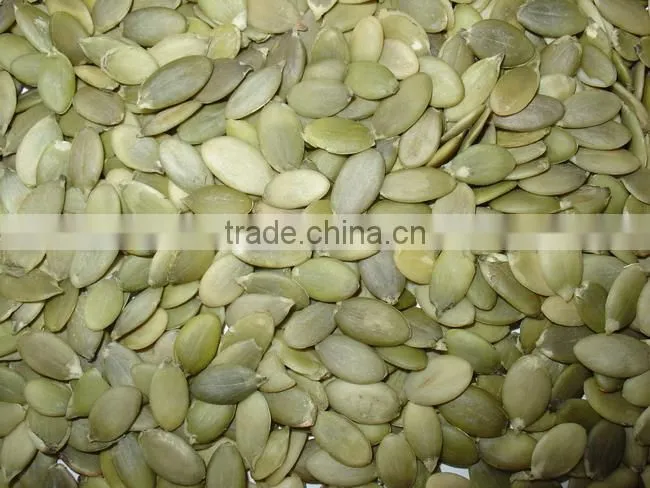 pumpkin seeds kernels
